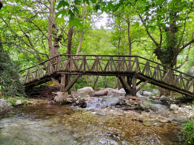 Holzbrücke im Pangeon Gebirge